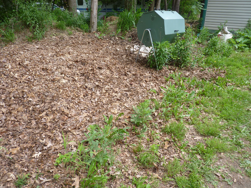 Leaf pile and compost tumbler!