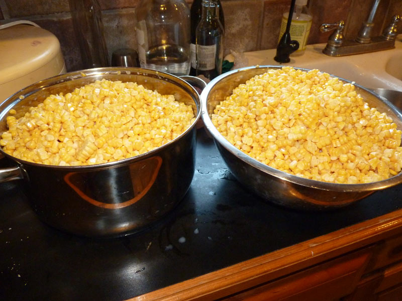 Corn ready for canning!