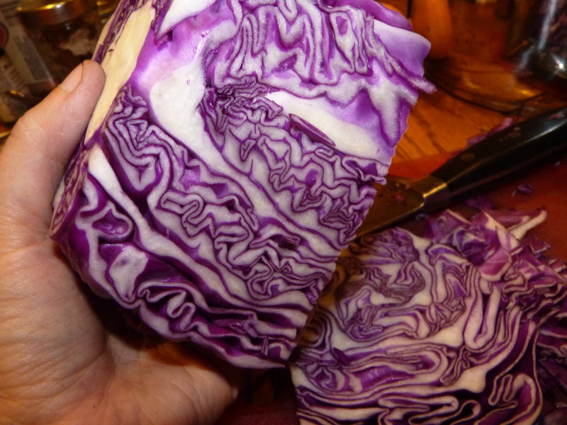 Beautiful Cabbage