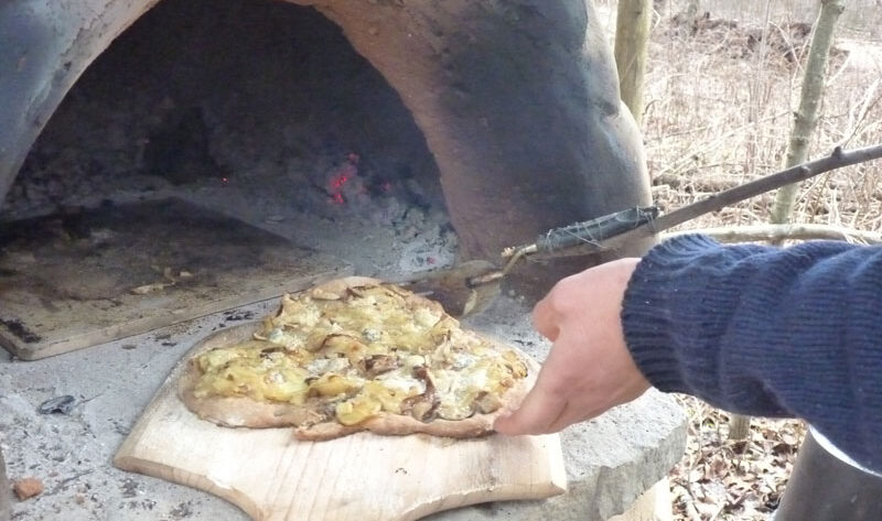 Cob oven with fresh mushroom pizza