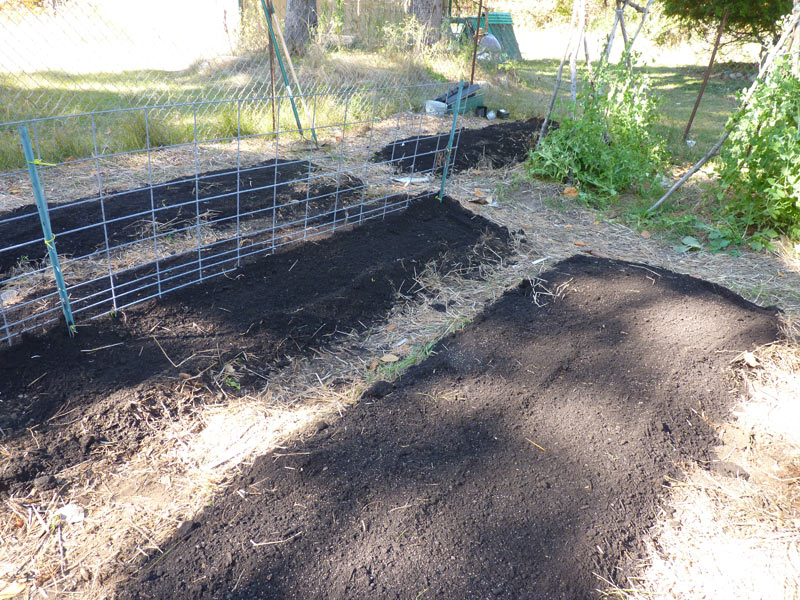 Garden before cover crops and mulch!