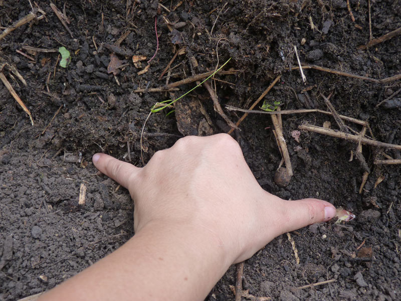 Finger measuring