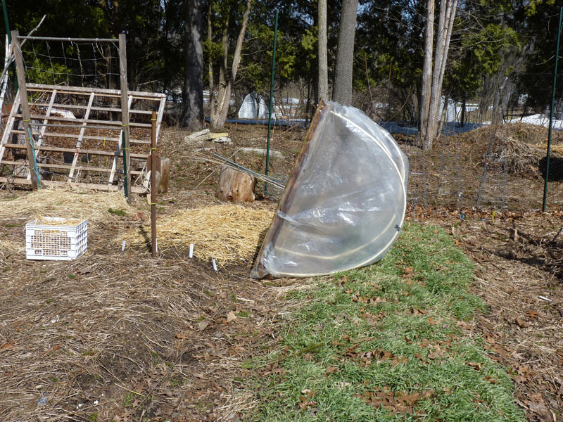 Hoop house, cover crop, garlic bed, and more!