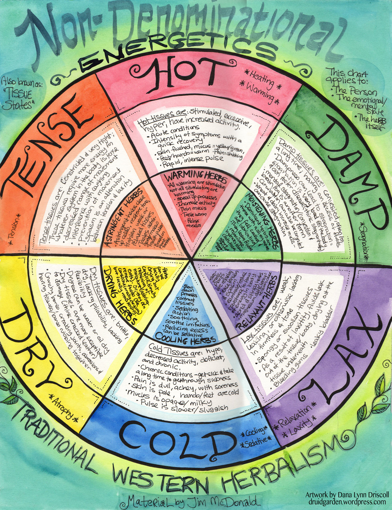 Tissue States / Herbal Actions Wheel