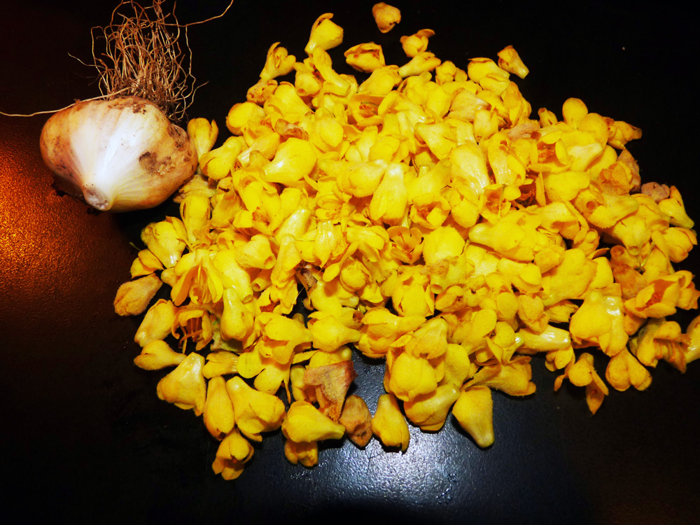 Garlic and Mullein Flower