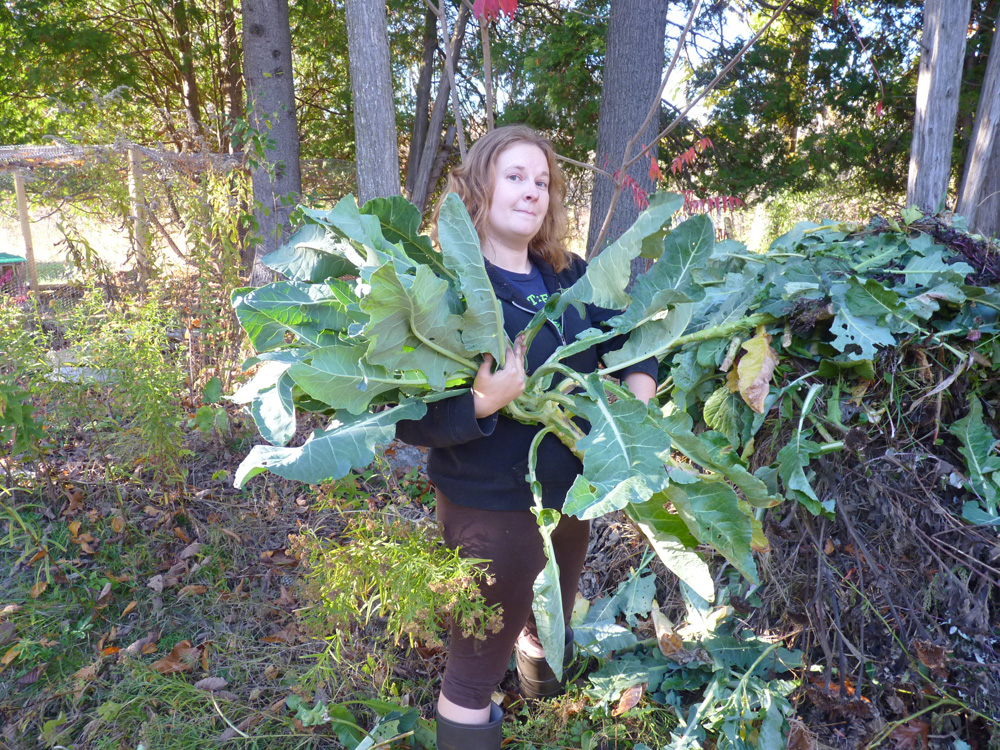 What the heck, broccoli? Why did you never produce broccoli?  Into the pot you go!