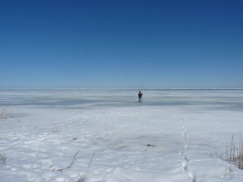 Frozen Lake Walking