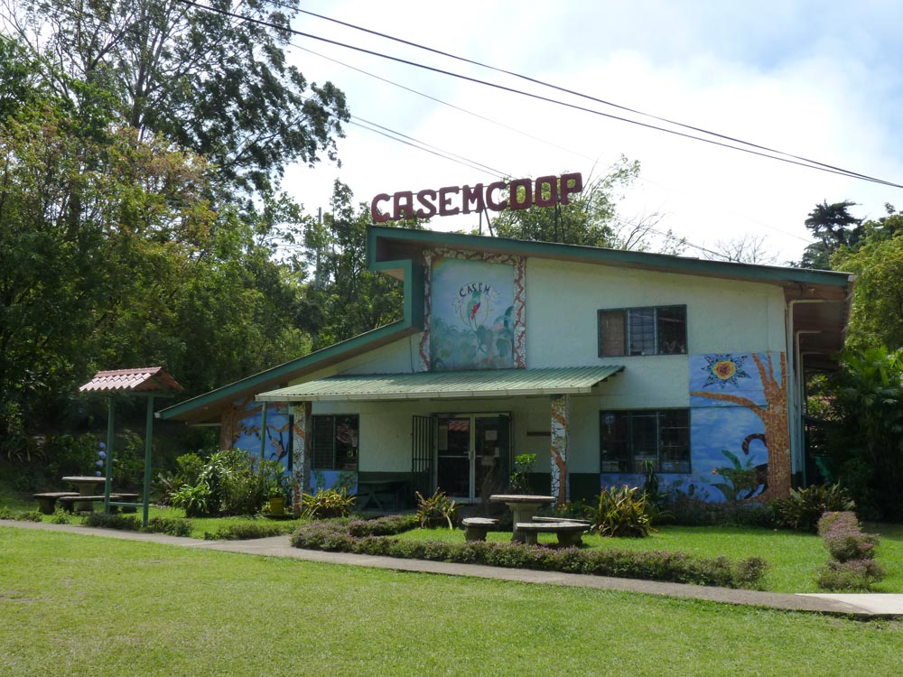 CASEM Co-op (Owned and operated by artists)