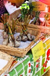 Locally grown garlic