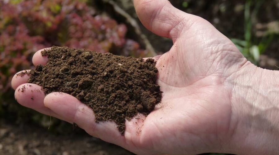Regenerate soil!