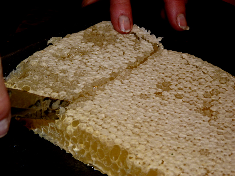 Cutting comb honey!