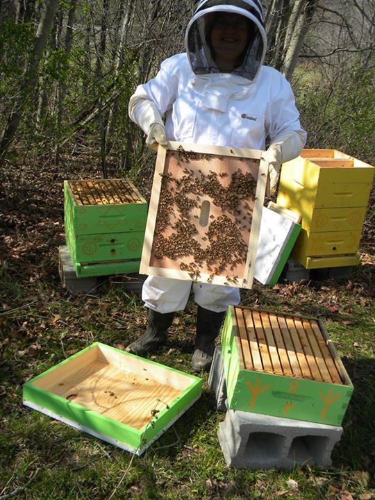 Moving beehives to a new location!