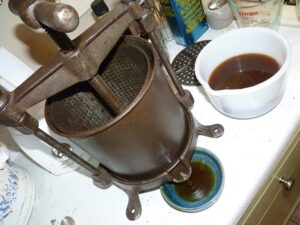 Pressing the Reishi Tincture