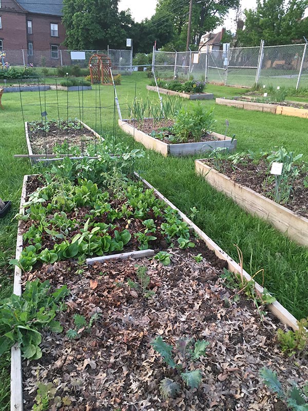 Community Garden plots!