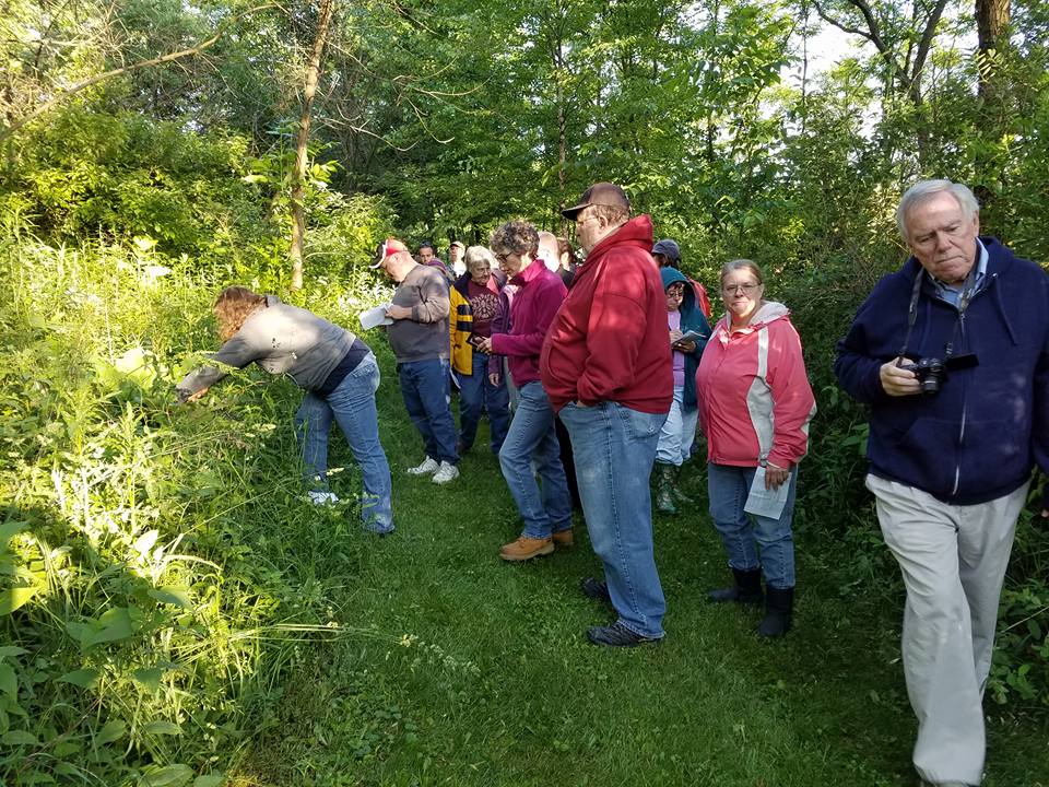 Learning and study together on plant walks!