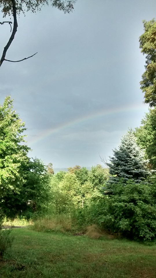 Picture of a rainbow after a wet rain