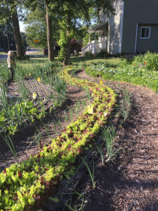 Wave Pattern in Garden