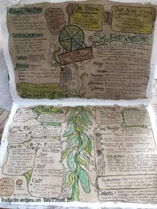 The inside of my "Garden Journal" that detailed both knowledge about gardening and farming I was learning as well as my early attempts at homesteading