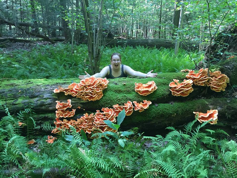 Unexpected mushrooms!