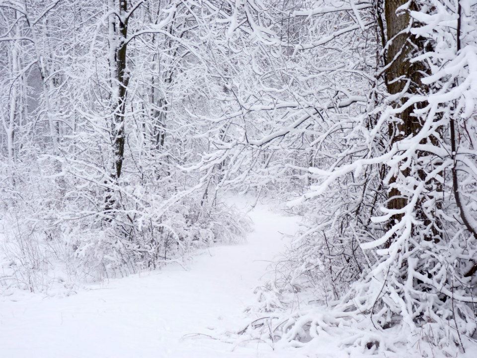 Winter Solstice Snow