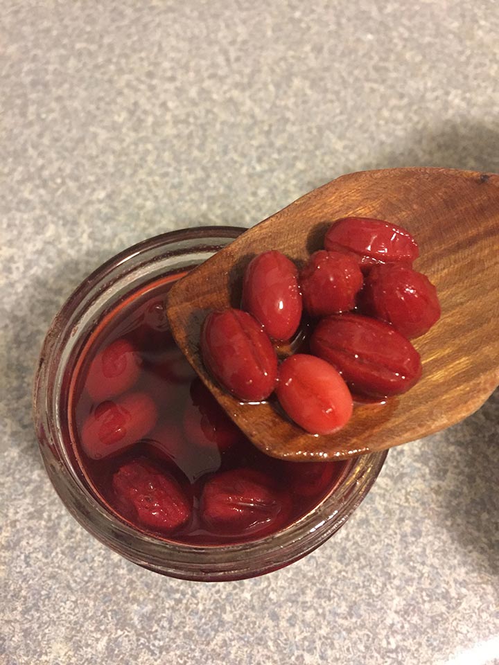 Cornelian Cherry Harvest And Recipe