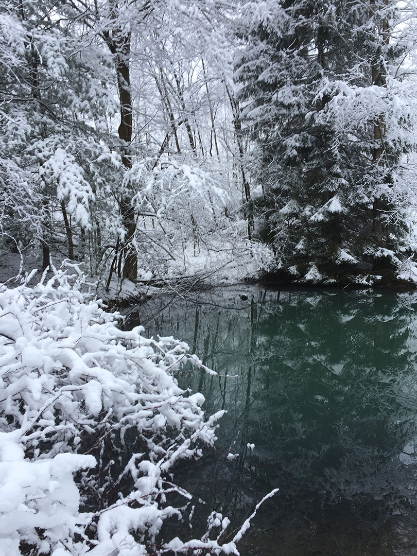 Snowfall at our homestead