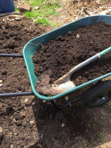 Moving some beautiful compost!