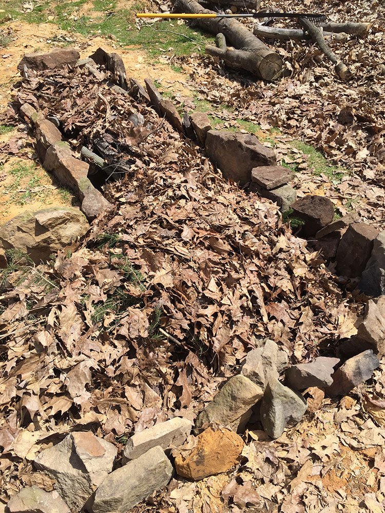 Leaves and Stone