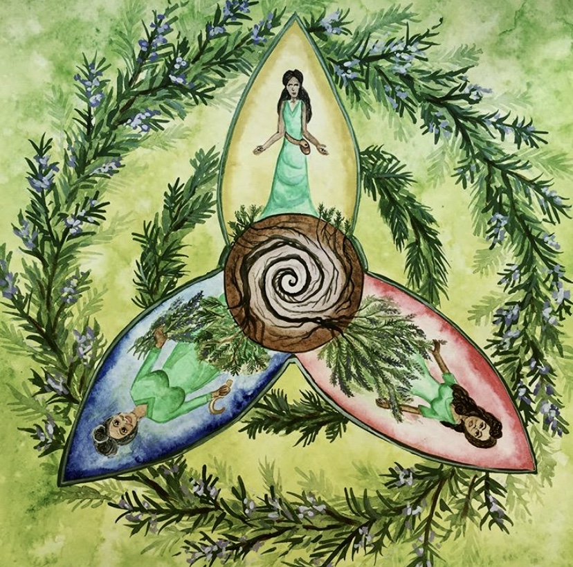 Rosemary from the Plant Spirit Oracle