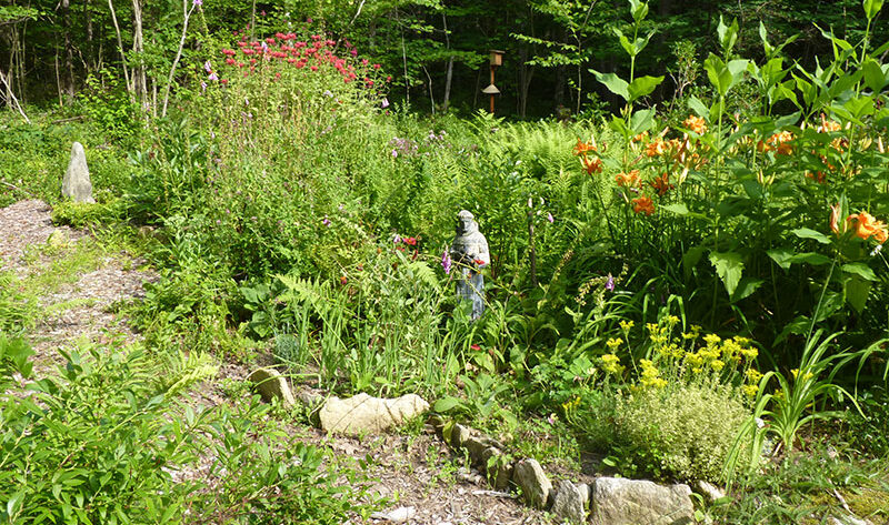 Mandala Medicine Garden