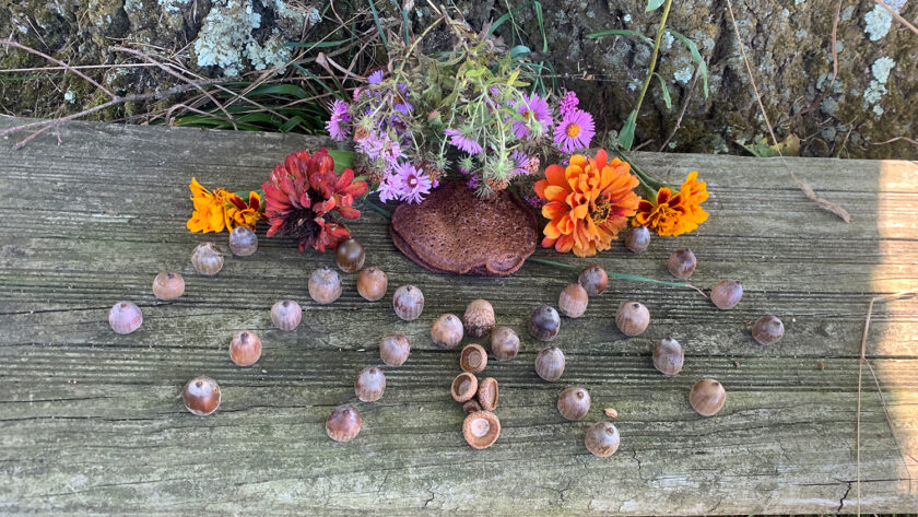 Offering gratitude to the oak with an offering