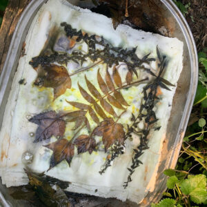 Ecoprinting - this is the image that ended up on the cover of the book!