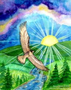 The Hawk of May soaring in the heights of the morning at the rising sun