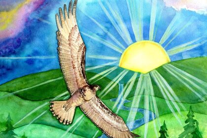The Hawk of May soaring in the heights of the morning at the rising sun