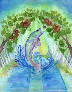 The Salmon of Wisdom