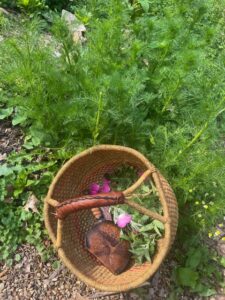 Basket full of healing herbs to bring health and joy