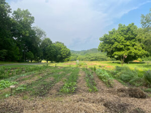 One of the many gardens at the Folk School