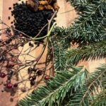 Some of the winter solstice salve herbs - harvested and also gathered from the apothecary