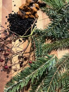 Some of the winter solstice salve herbs - harvested and also gathered from the apothecary