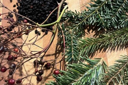 Some of the winter solstice salve herbs - harvested and also gathered from the apothecary