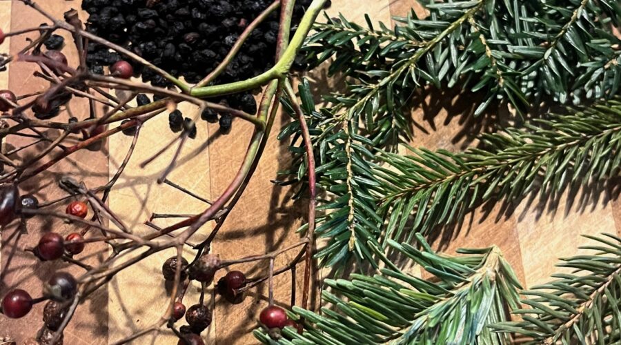 Some of the winter solstice salve herbs - harvested and also gathered from the apothecary