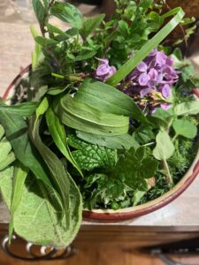 A bowl full of spring equinox medicinal plants for salve