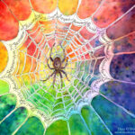 A Web of New Connections and Hope