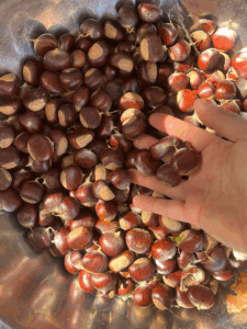 Sorting chestnuts