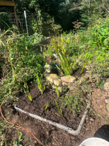 Here is the bed freshly planted!