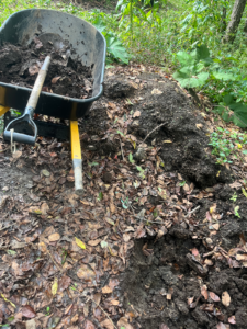 Here is our beautiful compost pile from last year--from our geese, ducks, chickens and gardens. Look at that black and rich soil!