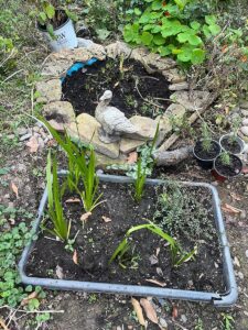 Here is what the bed looks like this week--about a month after planting.