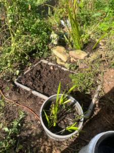 Compost is added and the bed is ready to plant!