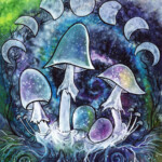Amanita bisporigera, the Destroying Angel, with the moon phases. I do like this deadly mushroom, she is lovely and potent.