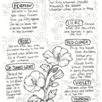 Instructions for harvesting specific flower species.